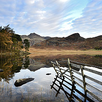 Buy canvas prints of Blea Tarn's Dawn Reflection of Serenity. by Philip Veale