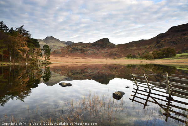 Blea Tarn's Reflection of Serenity at Dawn. Picture Board by Philip Veale