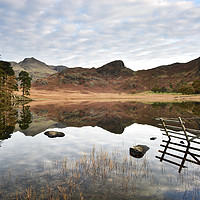 Buy canvas prints of Blea Tarn's Reflection of Serenity at Dawn. by Philip Veale