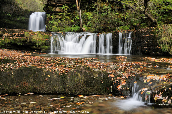 Horseshoe Falls surrounded by Autumn Colour. Picture Board by Philip Veale