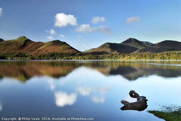Derwent Water with Catbells Reflection. Picture Board by Philip Veale