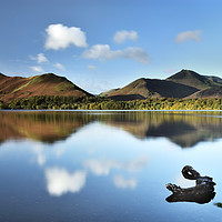 Buy canvas prints of Derwent Water with Catbells Reflection. by Philip Veale
