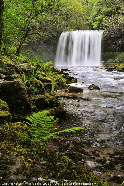 Sgwd Yr Eira in Spring. Picture Board by Philip Veale