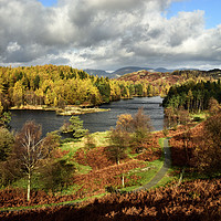 Buy canvas prints of Tarn Howes in Autumn, The Lake District. by Philip Veale