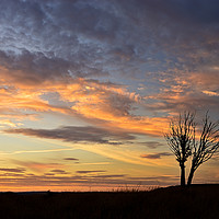 Buy canvas prints of Solitary Silhouette Against Llangynidr Sunset. by Philip Veale