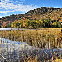 Buy canvas prints of Blea Tarn on a Calm Autumn Morning. by Philip Veale