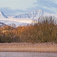 Buy canvas prints of Brecon Beacons Winter Dawn Panoramic. by Philip Veale