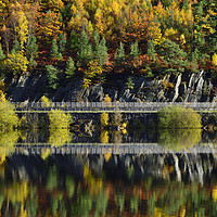 Buy canvas prints of Autumnal Reflections at Garreg Ddu Dam by Philip Veale