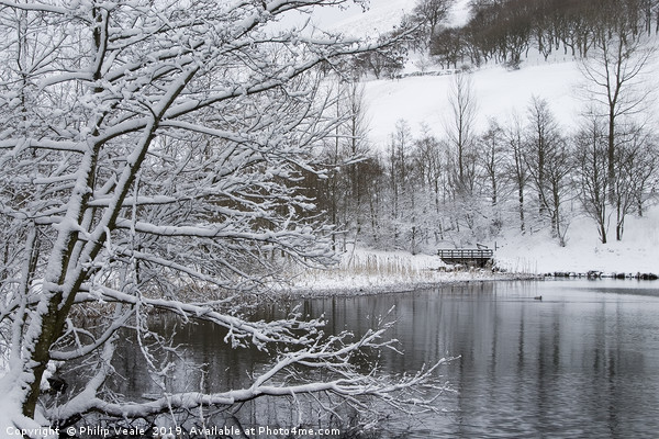 Winter's Embrace at Cwmtillery Lakes Picture Board by Philip Veale
