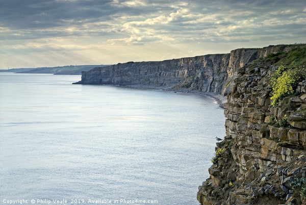 Nash Point and The Lone Lookout. Picture Board by Philip Veale