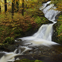 Buy canvas prints of Autumn's Glory at Elan Valley by Philip Veale