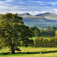 Buy canvas prints of Brecon Beacons As The Seasons Change. by Philip Veale