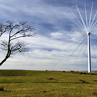 Buy canvas prints of Old Tree, New Turbine. by Philip Veale