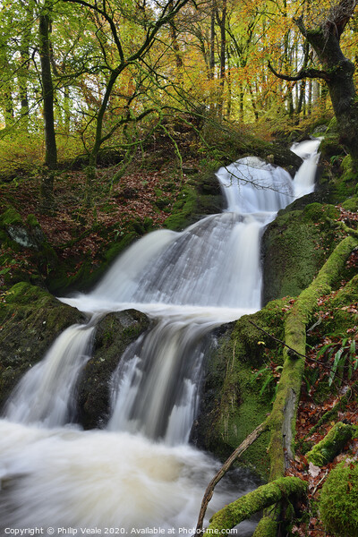 Elan Valley Waterfall in Autumn. Picture Board by Philip Veale