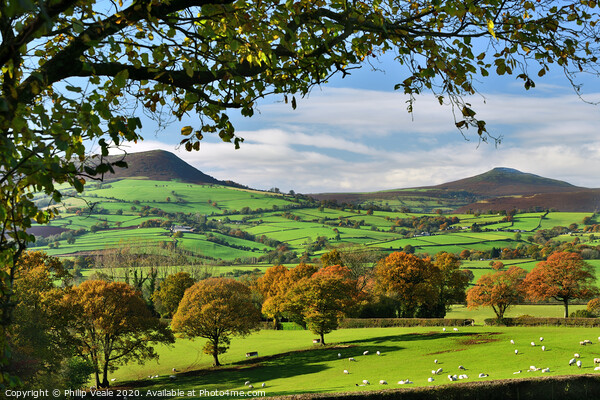 Sugar Loaf and Skirrid Mountains Autumn Shades. Picture Board by Philip Veale