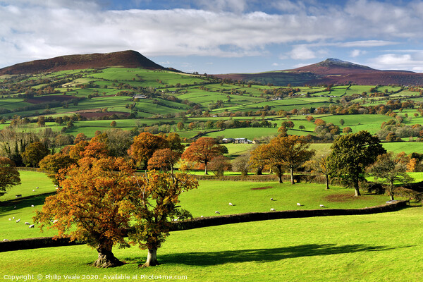 Sugar Loaf and Skirrid in the Shades of Autumn. Picture Board by Philip Veale