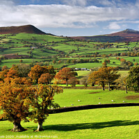 Buy canvas prints of Sugar Loaf and Skirrid in the Shades of Autumn. by Philip Veale