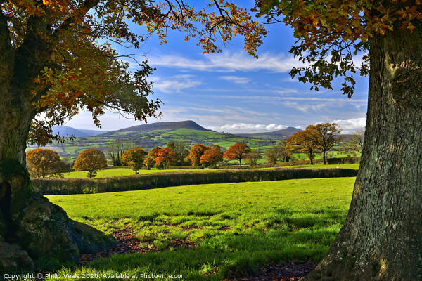 Skirrid and Sugar Loaf in an Autumn Frame. Picture Board by Philip Veale