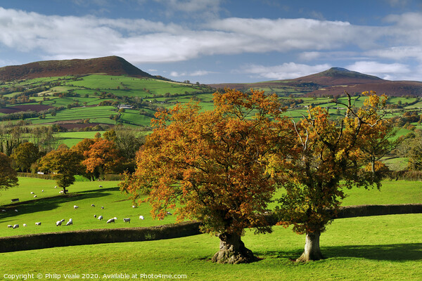 Skirrid and Sugar Loaf Mountains in Autumn. Picture Board by Philip Veale