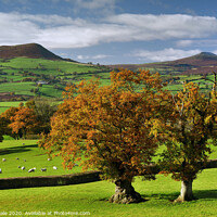 Buy canvas prints of Skirrid and Sugar Loaf Mountains in Autumn. by Philip Veale