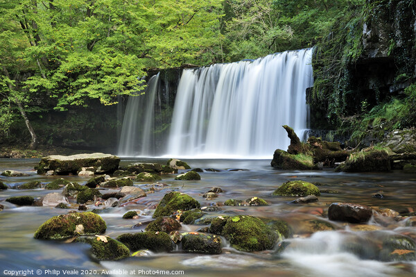 Sgwd Ddwli, a Waterfall in Springtime. Picture Board by Philip Veale