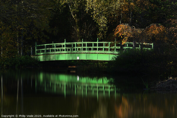 Festival Park Japanese Bridge, Ebbw Vale. Picture Board by Philip Veale