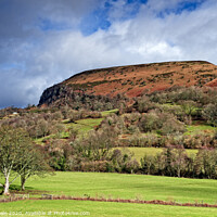 Buy canvas prints of Hatterrall Hill in Late Autumn. by Philip Veale