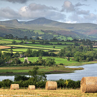 Buy canvas prints of Summer Morning at Llangorse Lake. by Philip Veale