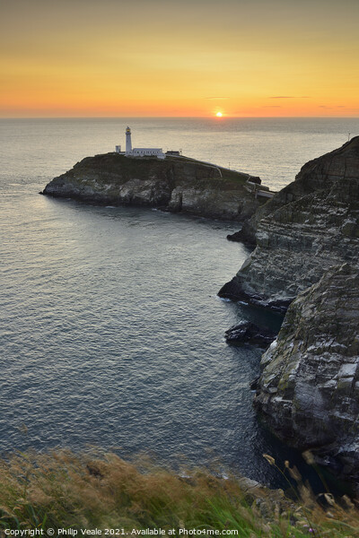 South Stack Sunset, Holy Island, Anglesey. Picture Board by Philip Veale