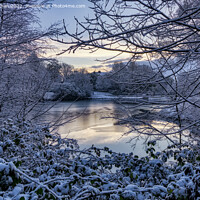 Buy canvas prints of Frozen Lake at Corporation Park, Blackburn, Lancashire, UK by Shafiq Khan
