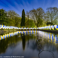 Buy canvas prints of Light Painting at the Lilypond, Witton Park by Shafiq Khan