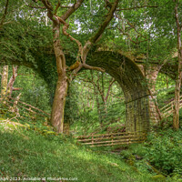 Buy canvas prints of Abandoned Viaduct at Hoghton Bottoms, Preston, Lancashire, UK (Nature Taking Over) by Shafiq Khan