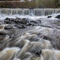 Buy canvas prints of Hoghton Bottoms Weir, Lancashire, UK by Shafiq Khan