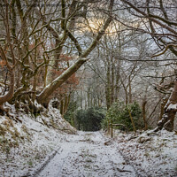 Buy canvas prints of Winter Wonderland in Feniscowles, Blackburn, Lancashire by Shafiq Khan