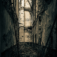 Buy canvas prints of Abandoned Mansion by Nick Sayce