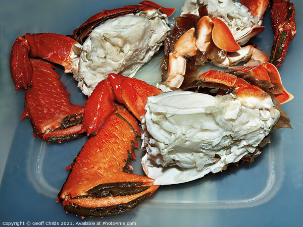 Seafood serving of Spanner or Red Frog Crab. Clean Picture Board by Geoff Childs