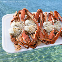 Buy canvas prints of A platter of freshly caught and cooked Blue Swimmer Crabs  by Geoff Childs
