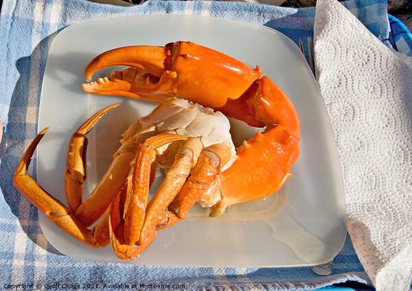 Giant Mud Crab. Cooked seafood nipper on a plate. Picture Board by Geoff Childs