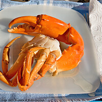 Buy canvas prints of Giant Mud Crab. Cooked seafood nipper on a plate. by Geoff Childs