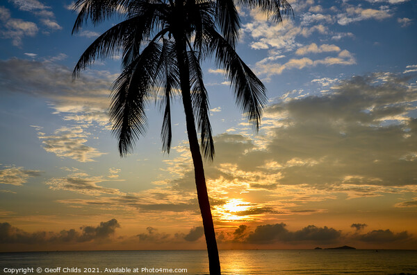 Tropical sunrise seascape with a palm tree silhouette in a blue  Picture Board by Geoff Childs
