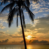 Buy canvas prints of Tropical sunrise seascape with a palm tree silhouette in a blue  by Geoff Childs