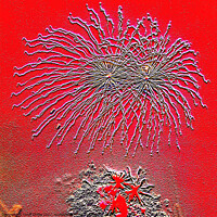 Buy canvas prints of Fireworks. Abstract and Digitally altered embossed by Geoff Childs