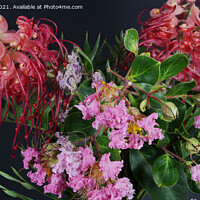 Buy canvas prints of Selection of beautiful Grevillea and Lantana bloss by Geoff Childs
