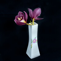 Buy canvas prints of  Pretty pink Cymbidium Orchid in a Vase on black. by Geoff Childs