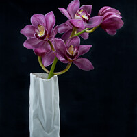 Buy canvas prints of  Pretty Purple pink Cymbidium Orchid in a Vase  by Geoff Childs