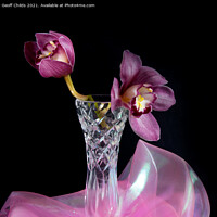 Buy canvas prints of  Pretty purple Cymbidium Orchid in a Vase on black by Geoff Childs