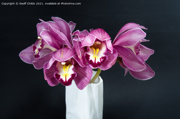 Pretty purple Cymbidium Orchid in a Vase on black Picture Board by Geoff Childs