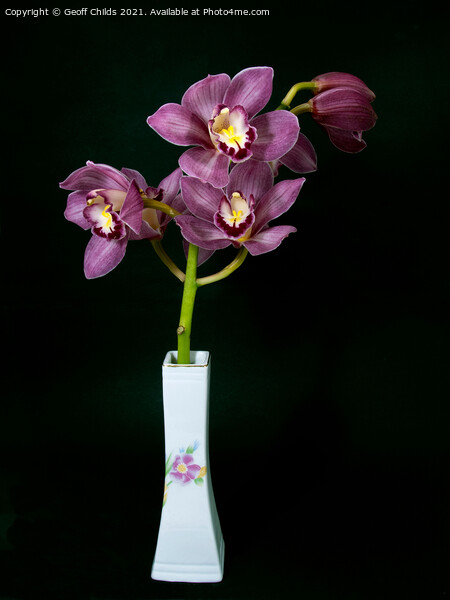  Pretty purple Cymbidium Orchid in a Vase on black Picture Board by Geoff Childs