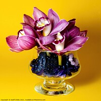 Buy canvas prints of  Pretty Purple pink Cymbidium Orchid in a Vase on  by Geoff Childs