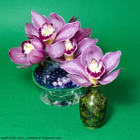 Buy canvas prints of Pretty lavender pink Cymbidium Clarisse Orchids in vases. by Geoff Childs